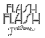 Logoflashflash2 10060b64